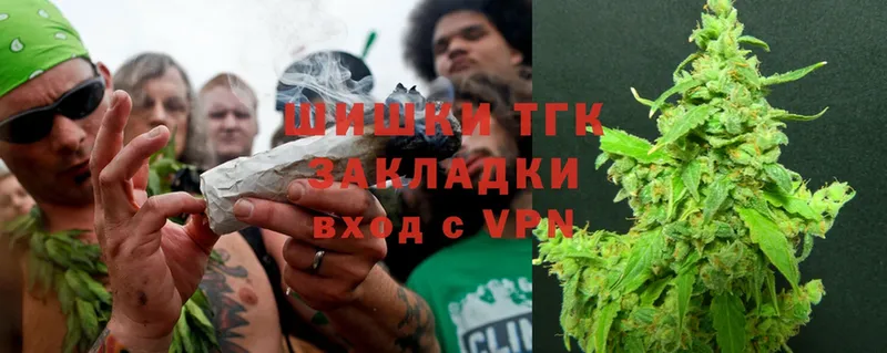 Бошки марихуана THC 21%  гидра как войти  Тавда 